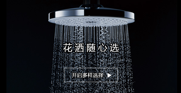 花灑隨心選